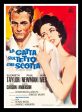 Cat on a Hot Tin Roof Movie Poster Paul Newman Fridge Magnet 6x8 Large Online now