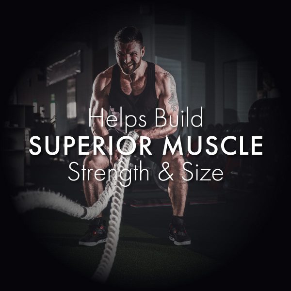 Herbobuild: For Enhanced Stamina & Peak Fitness Online now