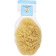 SPA ACCESSORIES by Spa Accessories , NATURAL YELLOW SEA SPONGE - LARGE Discount