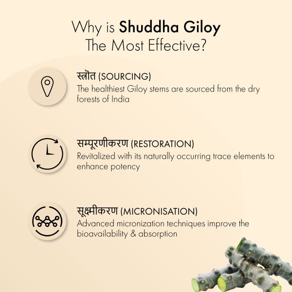 Shuddha Giloy Tablets: Most Effective Immunity Booster & Blood Purifier Supply