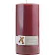 CANDIED CINNAMON by , ONE 3x6 inch PILLAR CANDLE.  BURNS APPROX. 100 HRS. Discount