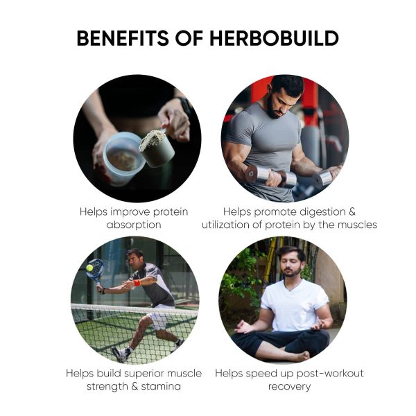 HerboBuild - 50 Capsules on Sale