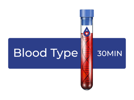 Blood Typing Test Online Sale