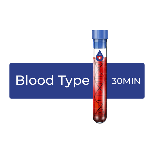 Blood Typing Test Online Sale