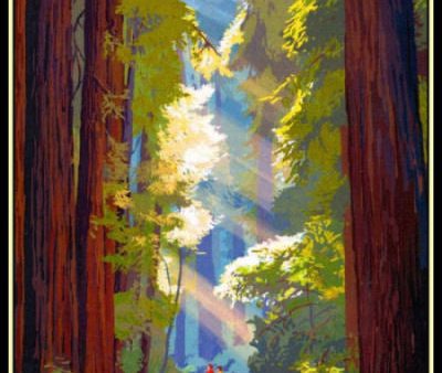 Big Sur Redwoods California Travel Poster Fridge Magnet 6x8 Large Online