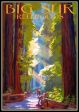 Big Sur Redwoods California Travel Poster Fridge Magnet 6x8 Large Online