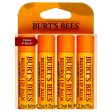 Beeswax Lip Balm Pack by Burts Bees for Unisex - 4 x 0.15 oz Lip Balm For Cheap