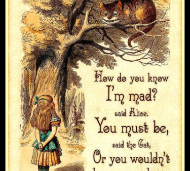 Alice in Wonderland Quote Magnetic Canvas Print FRIDGE MAGNET 6x8 Large For Discount