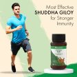 Shuddha Giloy: Most Effective Immunity Booster & Blood Purifier For Cheap