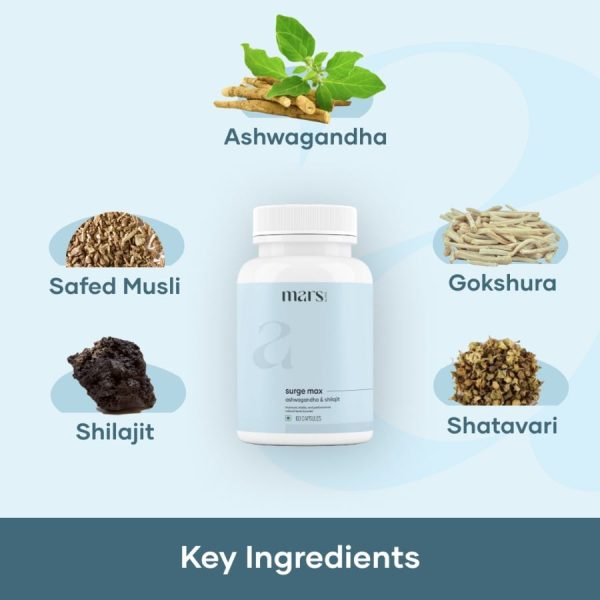 Surge Max - Ashwagandha, Shilajit & Safed Musli. For Cheap