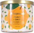 AEROPOSTALE PEACH & DAISY by Aeropostale , CANDLE 14.5 OZ Online now