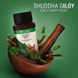 Shuddha Giloy: Most Effective Immunity Booster & Blood Purifier For Cheap