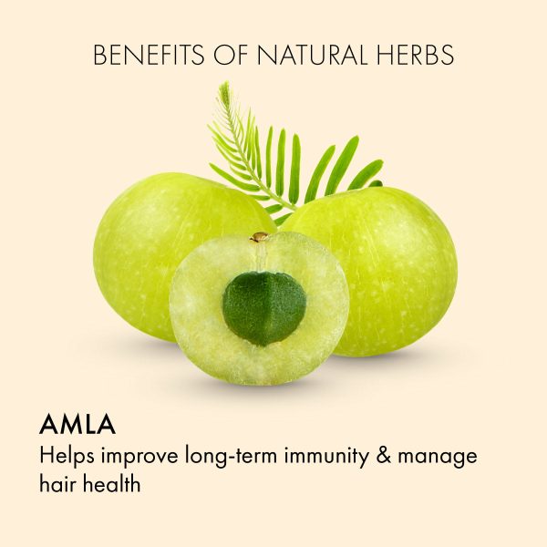 Amla Juice: For healthy liver, hair & skin and improved sugar & energy levels Online Sale