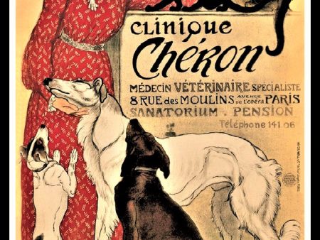 Clinique Cheron France Veterinarian Poster Fridge Magnet 6x8 Large Online Hot Sale