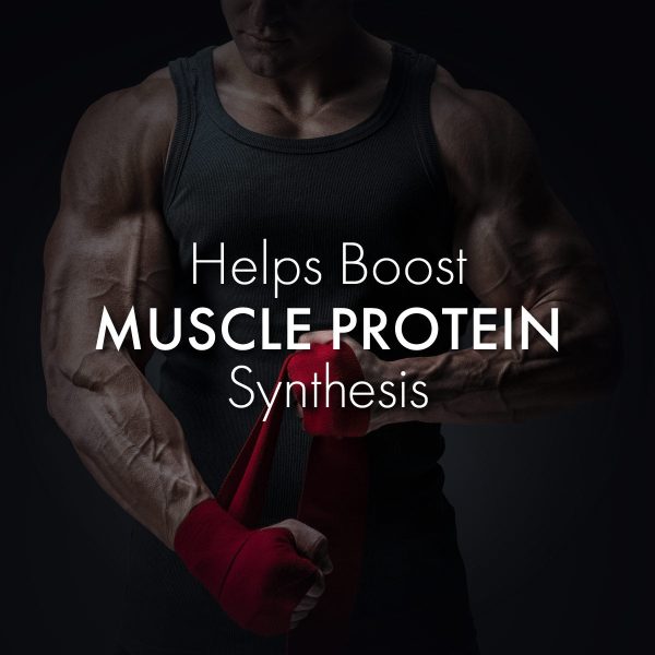 Muscle Build Combo: Helping to Maximize Your Muscle Building Results on Sale